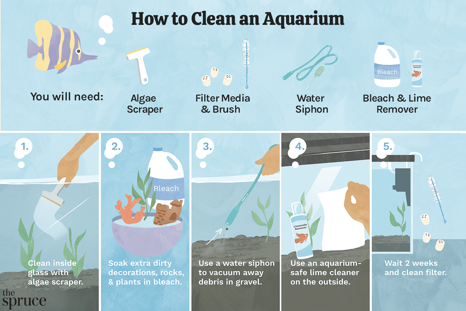 Cleaning a fish tank